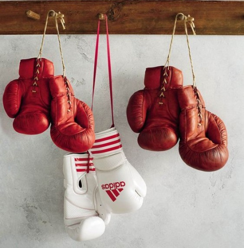 Единоборства